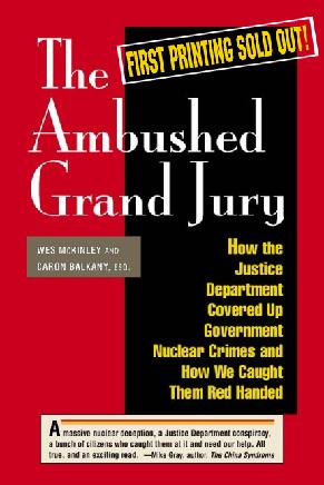 The Ambushed Grand Jury book cover at www.ambushedgrandjury.com